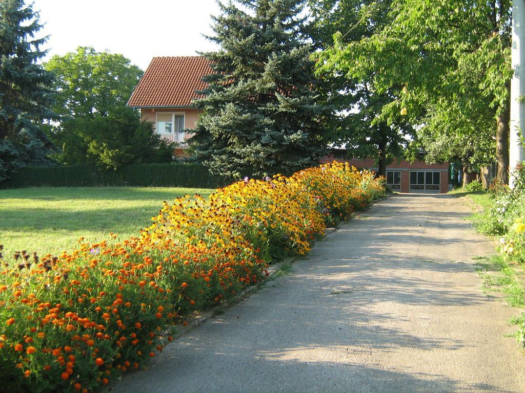 Apartments Domacinstvo Nikolic Валево Экстерьер фото