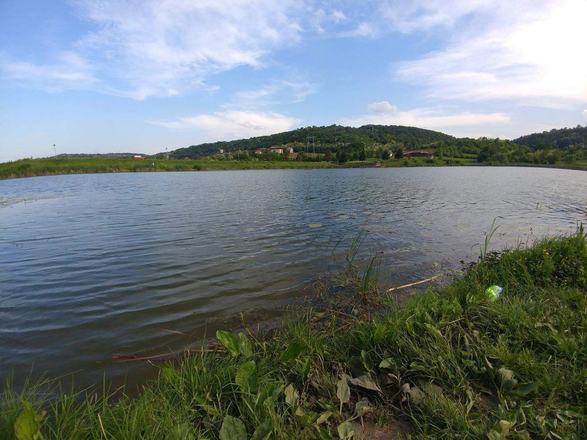 Apartments Domacinstvo Nikolic Валево Экстерьер фото